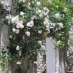 Bed & Breakfast La Saudade Saint-Peray