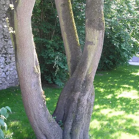 La Saudade Bed & Breakfast Saint-Péray