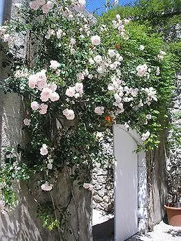 住宿加早餐酒店 拉绍达迪酒店 圣佩赖